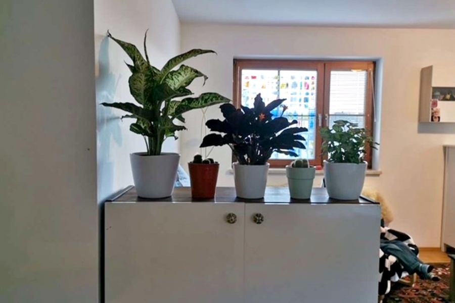 Galeriebild_5_Wohnung_Frohnleiten