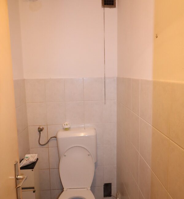 Galeriebild_10_Kalsdorf_Ros