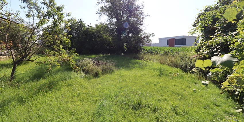 Sonniges Baugrundstück mit ca. 700 m² in ruhiger Lage in Feldkirchen zu verkaufen