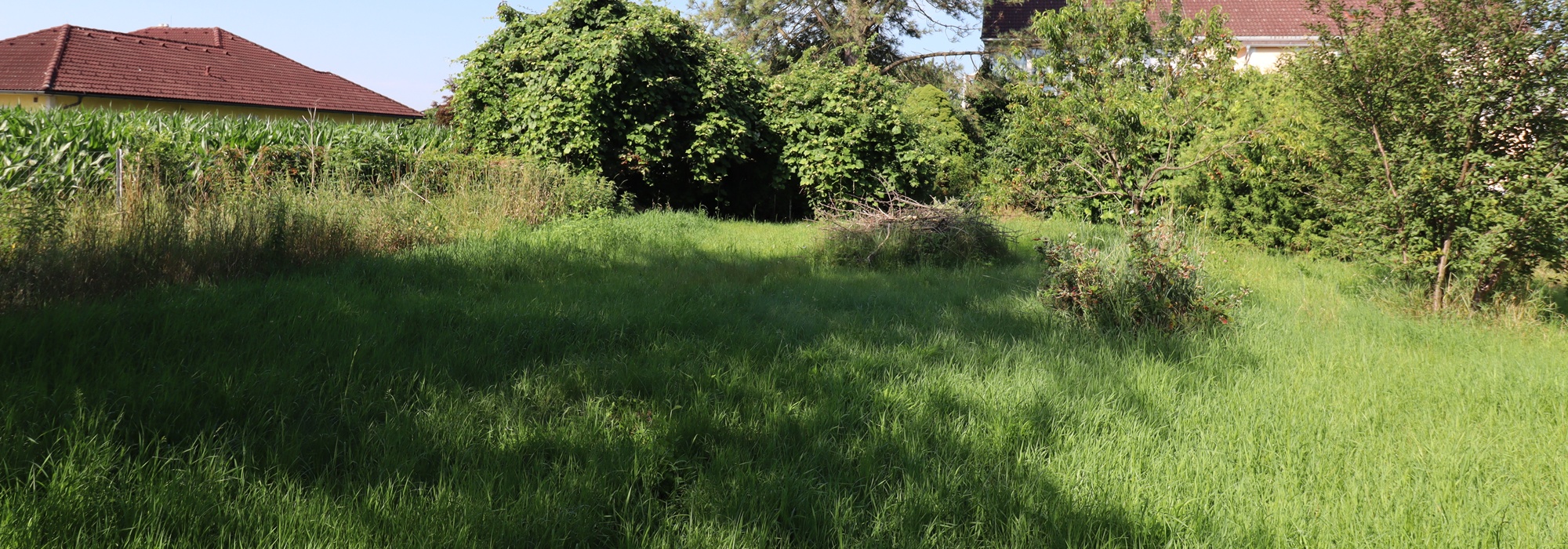 Sonniges Baugrundstück mit ca. 700 m² in ruhiger Lage in Feldkirchen zu verkaufen